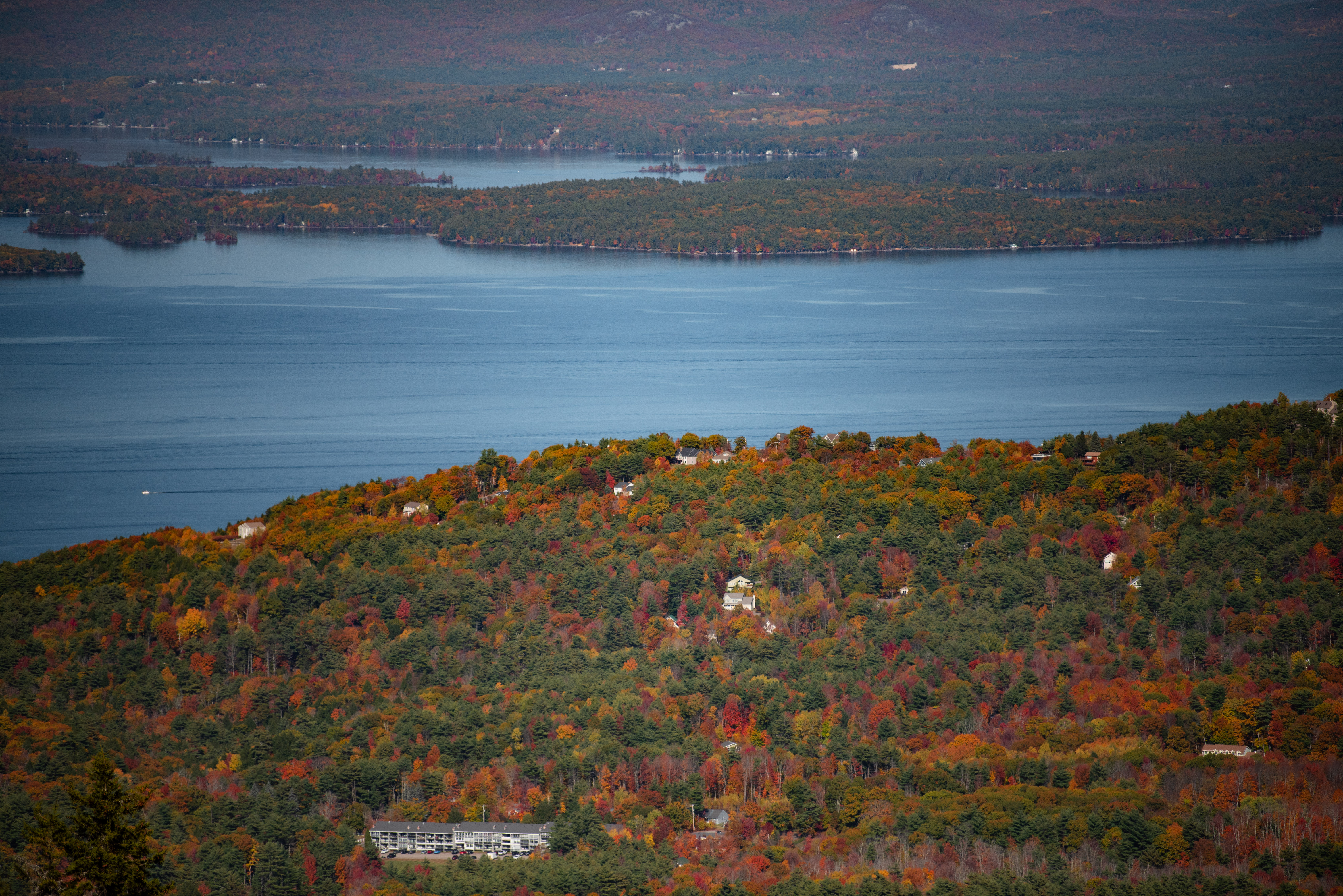 Gunstock